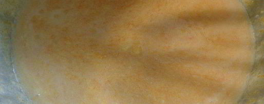 Шаг 7: тыквенных пирожных с миндалем и соленой карамелью