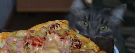 Шаг 7: пиццы любимой