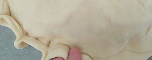 Шаг 10: закрытой пиццы с курицей и чесноком