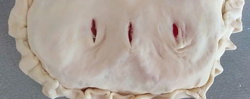 Шаг 11: закрытой пиццы с курицей и чесноком