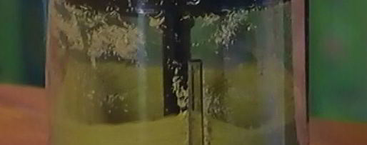 Шаг 3: фисташковых пончиков