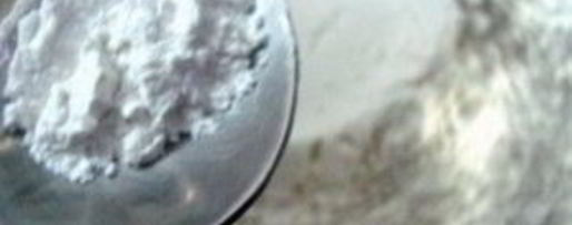 Шаг 1: пончиков бадуша