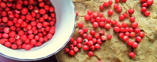 Шаг 8: пряников с брусникой на цельнозерновой муке