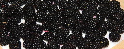 Шаг 1: шарлотки с ежевикой