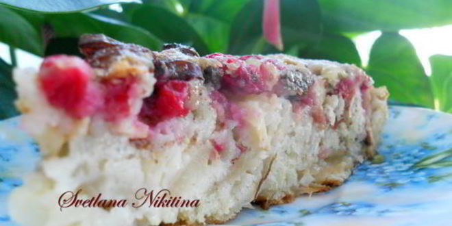 Рецепт шарлотки с яблоками, изюмом и корицей