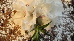 Рецепт Шоколадной шарлотки с яблоками и пьяной вишней