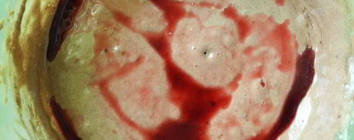 Шаг 3: шоколадной шарлотки с яблоками и пьяной вишней