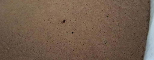 Шаг 2: шоколадна-орехового рулет