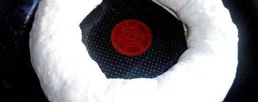 Шаг 19: штруделя рыбка моя