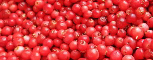 Шаг 9: ягодного творожника без муки