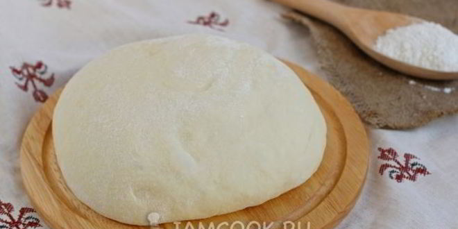 Рецепт дрожжевого теста на пироги на молоке