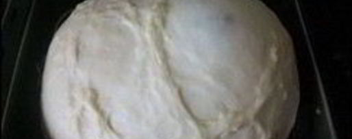 Шаг 10: сладкого дрожжевого теста