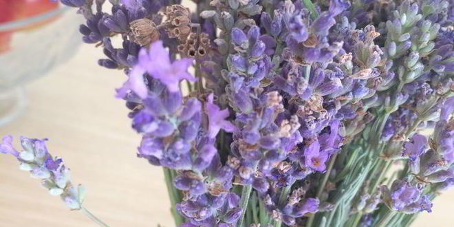 Рецепт торта чернично-лавандовая симфония