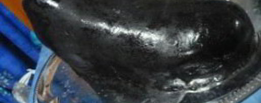 Шаг 4: торта кеды