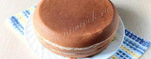 Шаг 9: торта прага по госту