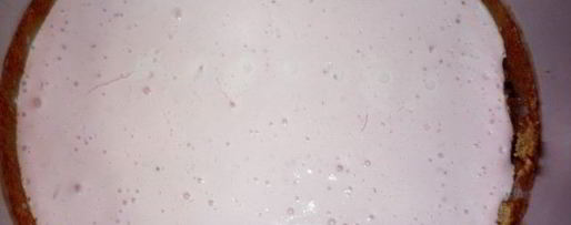 Шаг 6: юбилейного печеночного бисквита