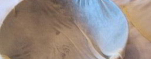 Шаг 7: выпечки из теста фило