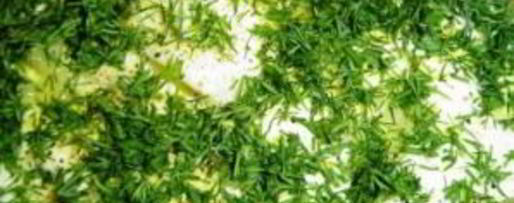 Шаг 4: профитролей с красной рыбой