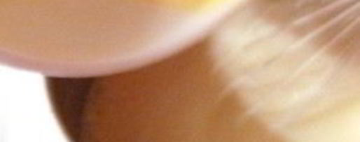 Шаг 14: эклеров шоколадных