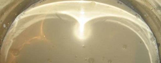 Шаг 18: заварных булочек с кремом