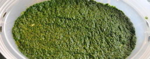 Шаг 4: запеканки с курицей и шпинатом в пароварке