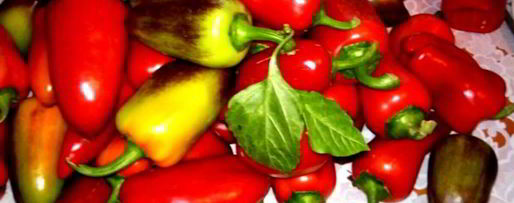 Шаг 1: аджики остринка