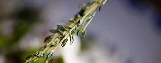 Шаг 5: соленых сырников с аджикой