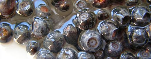 Шаг 2: черники в собственном соку на зиму без сахара