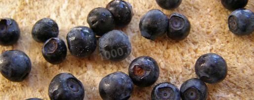 Шаг 5: черники в собственном соку на зиму без сахара