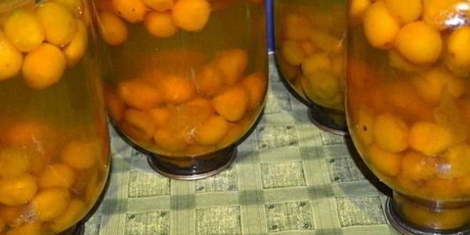 Рецепт компота из алычи