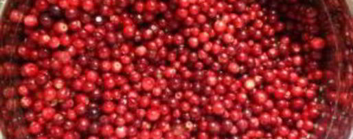 Шаг 1: компота из брусники на зиму