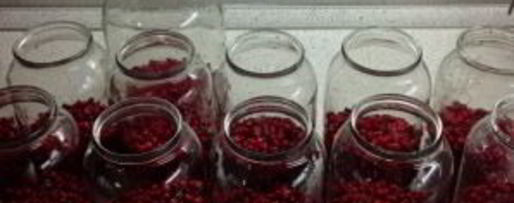 Шаг 2: компота из брусники на зиму