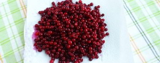 Шаг 3: компота из брусники с яблоками на зиму