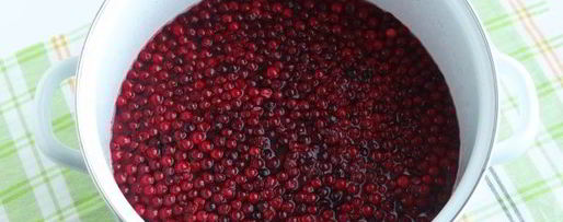 Шаг 8: компота из брусники с яблоками на зиму