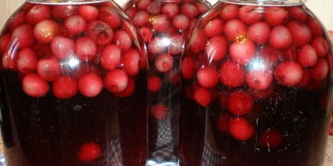 Рецепт компота из черешни с косточками на зиму