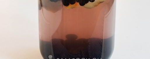 Шаг 6: компота из черноплодки с яблоками на зиму