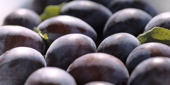 Рецепт компота из чернослива на зиму