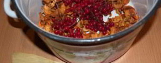 Шаг 1: компота из калины и яблок