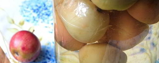 Шаг 14: компота из ранеток на зиму без стерилизации