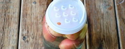 Шаг 9: компота из ранеток на зиму без стерилизации