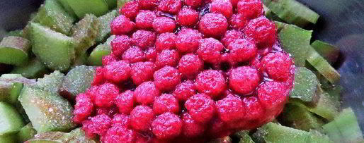 Шаг 3: компота из ревеня и лесной малины