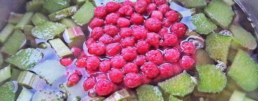 Шаг 4: компота из ревеня и лесной малины