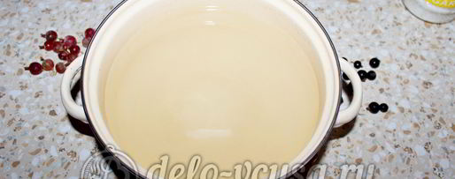 Шаг 2: компота из смородины и крыжовника