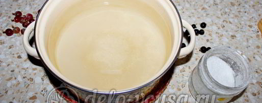 Шаг 3: компота из смородины и крыжовника