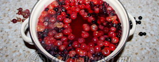 Шаг 5: компота из смородины и крыжовника