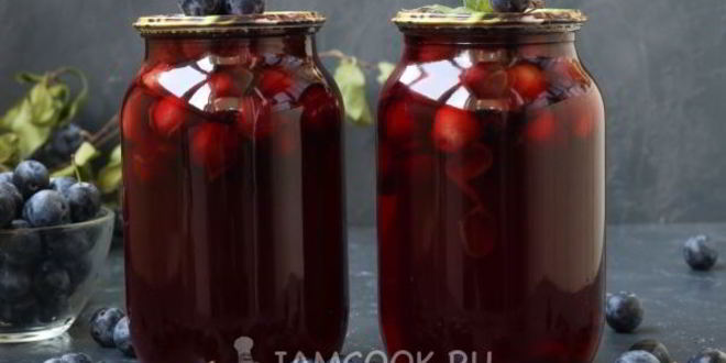 Рецепт компота из терна на зиму без стерилизации