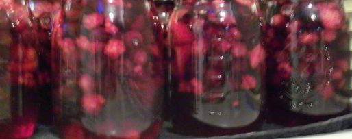 Шаг 4: ягодного компота на зиму