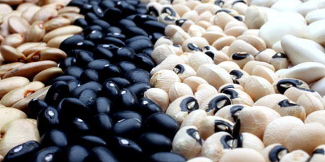 Рецепт консервированной фасоли