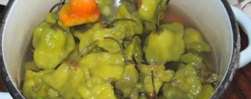 Шаг 1: квашеного острого перца цицак