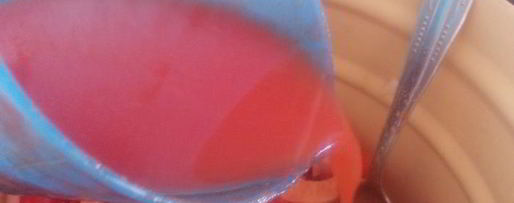 Шаг 2: домашнего лечо